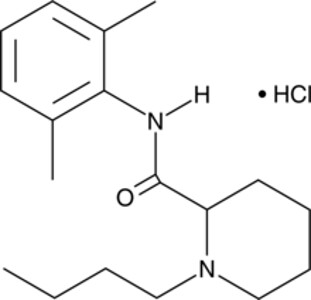 Bupivacaine (hydrochloride)