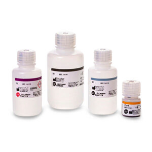 DNA Plasmid Purification