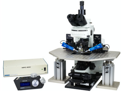 Electrophysiology Bundled Systems Bundled Configurations from Sutter ...