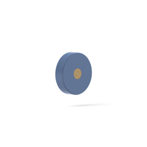 Frit PEEK 0.062'FØx0.065xPCTFE 0.250'TØ Blue 0.5 µm
