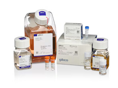 Gibco™ Expi293™ PRO Expression System Kit