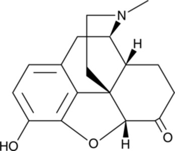 Hydromorphone