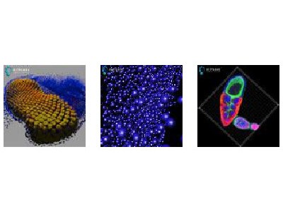 Image Analysis Software | Labcompare.com