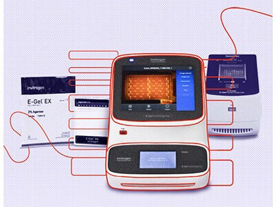 Invitrogen E-Gel Power Snap Electrophoresis Systems