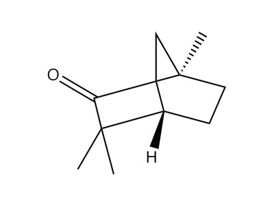 L(-)Fenchone, 1,000 µg/mL Organic Standard, 1 mL