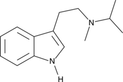 MiPT