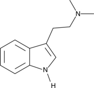N,N-DMT