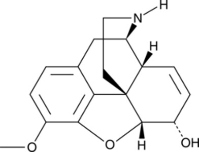 Norcodeine
