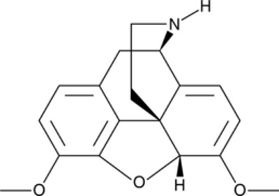 Northebaine