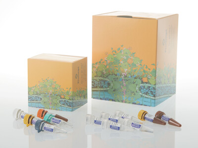 Paradyme™ 27GY STR System