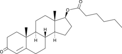 Testosterone Caproate