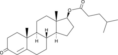 Testosterone Isocaproate