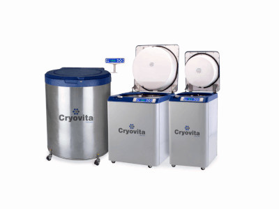 liquid nitrogen freezer temperature