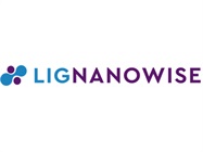 LIG Nanowise