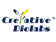 Creative Biolabs