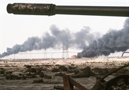 Imaging of Veterans’ Brains Suggests Sub-types of Gulf War Illness