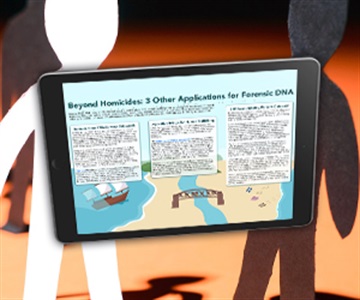[Infographic] Beyond Homicides: 3 Other Applications for Forensic DNA
