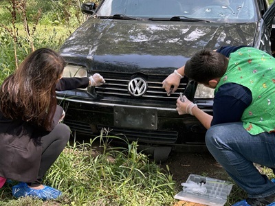 Online Course Gives Public the Chance to Solve Crimes Using Insects