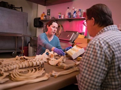 Chico State to Break Ground on New Forensic Anthropology Building for Human Identification Lab
