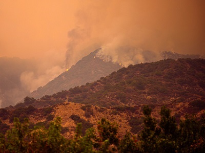 11-year Study Links Wildfire Smoke to Rise in Violent Assaults