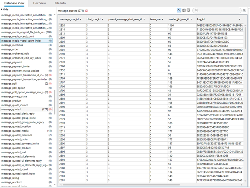 Finding Hidden Data: Understanding SQL Databases